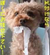 �֗����A�b�v�^�[��