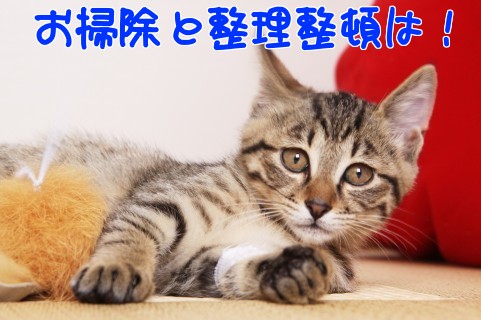 �֗����A�b�v�^�[��