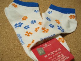 �r�g�n�o �A�b�v�^�[��