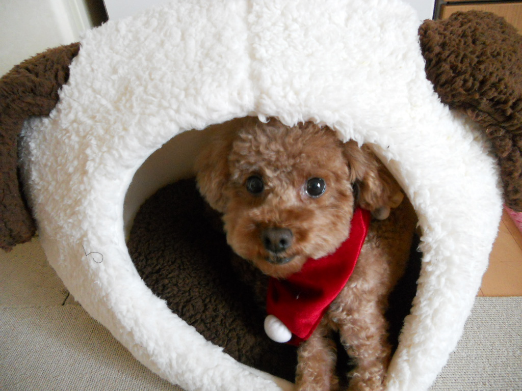 �y�ݕ� �A�b�v�^�[��